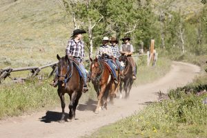 Horse trail